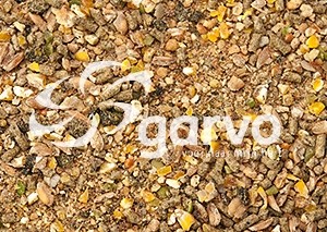 1075 alfastart piepkuikens  12,5kg