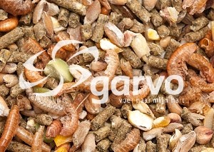 1080 alfamix kuikens  12,5kg