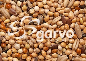 3828 parkiet extra  20kg