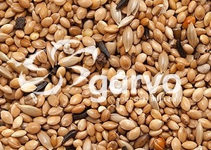 3829 tropisch extra (ook v trop(diamant) duifjes)  20kg