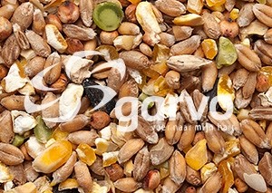 4133 gemengd graan (zonder gerst) 20kg