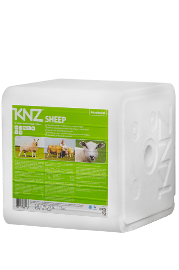 4203 knz liksteen schaap 0