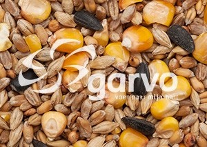 5151 gemengd graan + zonnepit  20kg