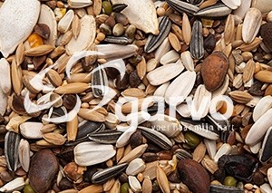 5313 papegaaien melange 15kg