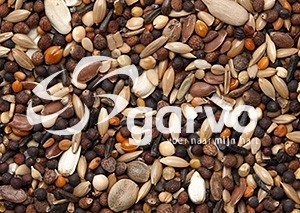 5317 goudvinken extra  20kg