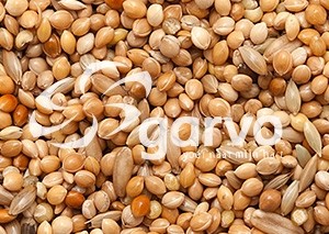 5341 Parkiet speciaal  20kg