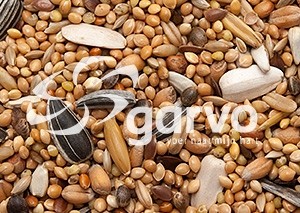 5342  grote parkietenzaad  20kg