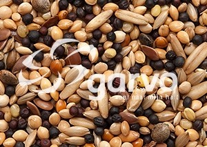 5343 voliérezaad  20kg