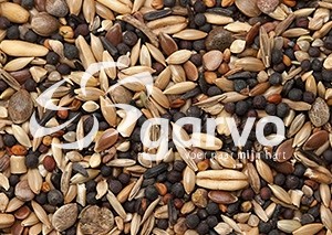 5345 Wildzangzaad 20kg