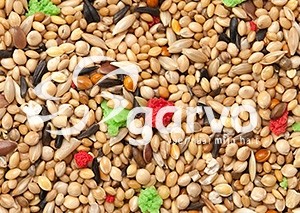 5350 tropisch plus  20kg