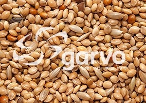 5351 tropisch speciaal  20kg