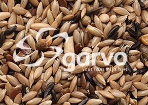 5371 kanarie zonder raap  20kg