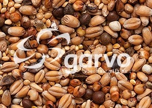 5426 tortelduivenvoer  20kg