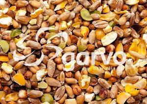 5461 fazantengraan met erwten  20kg