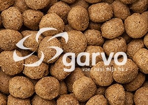 5638 rangers senior CR hondenbrok 10kg