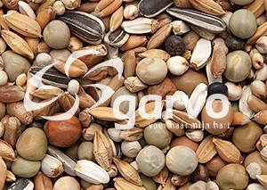 862 kroppervoer zonder mais en milo  20kg