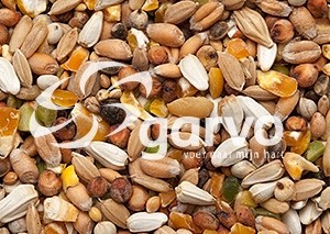 870 wilde duivenvoer  20kg