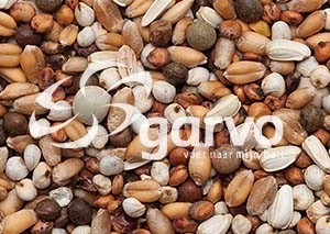 875 Haagsche mix  20kg