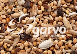 9111 Agapornidenzaad 20kg