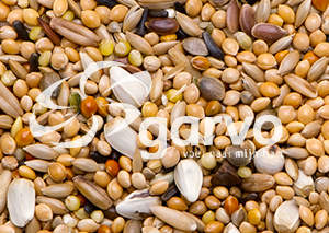 9113 neophemazaad  20kg